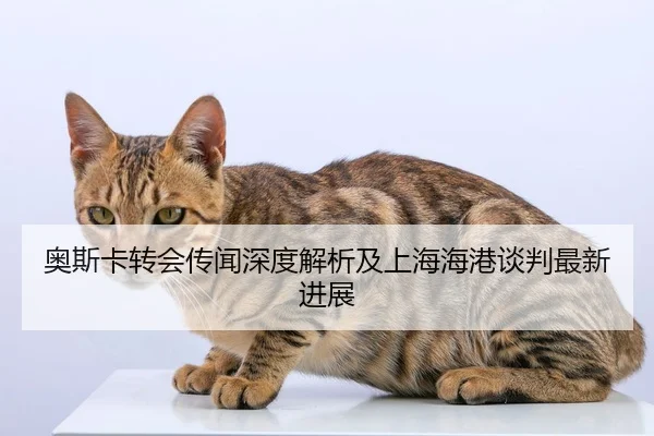 奥斯卡转会传闻深度解析及上海海港谈判最新进展